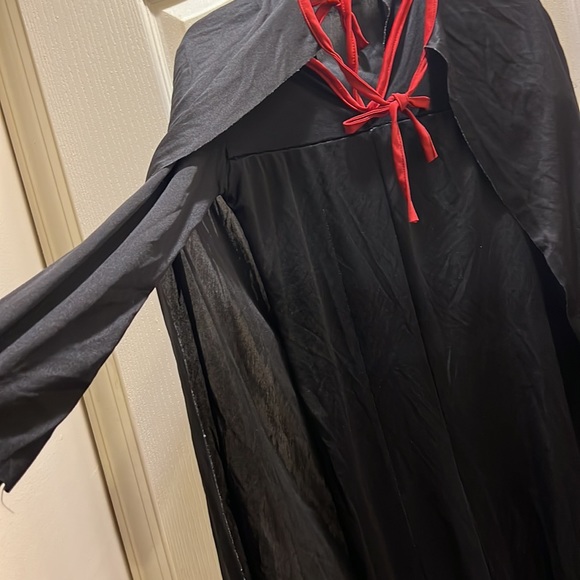 Zorro Halloween costume. - Picture 4 of 6